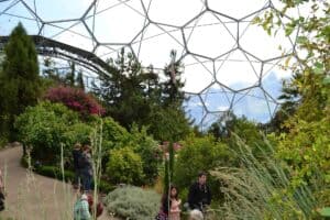 Eden Project image