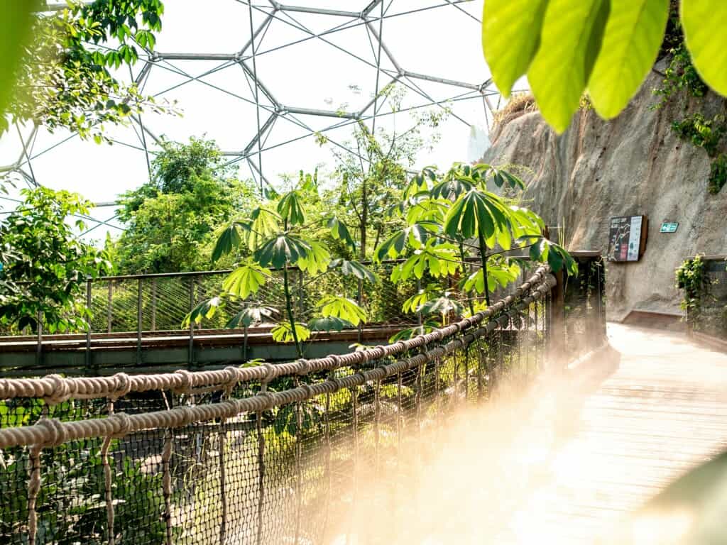 Eden Project to use former Dundee school as offices to drive development forward